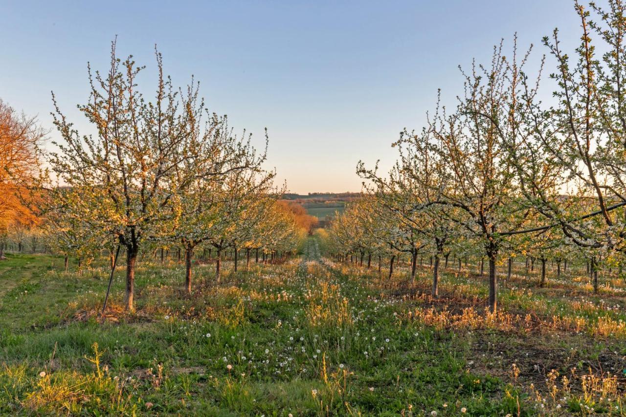 Domaine De Rambeau Castelmoron-sur-Lot Exterior foto